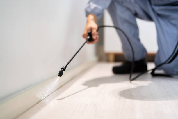 Licensed Ant Control service in Bon Secour, AL - Show Me Pest Control