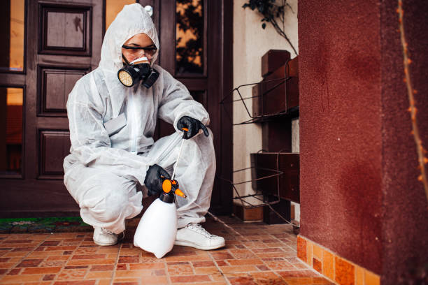 Reliable Ant Control contractor in Bon Secour, AL by Show Me Pest Control